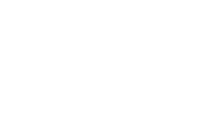 לוגו IGI